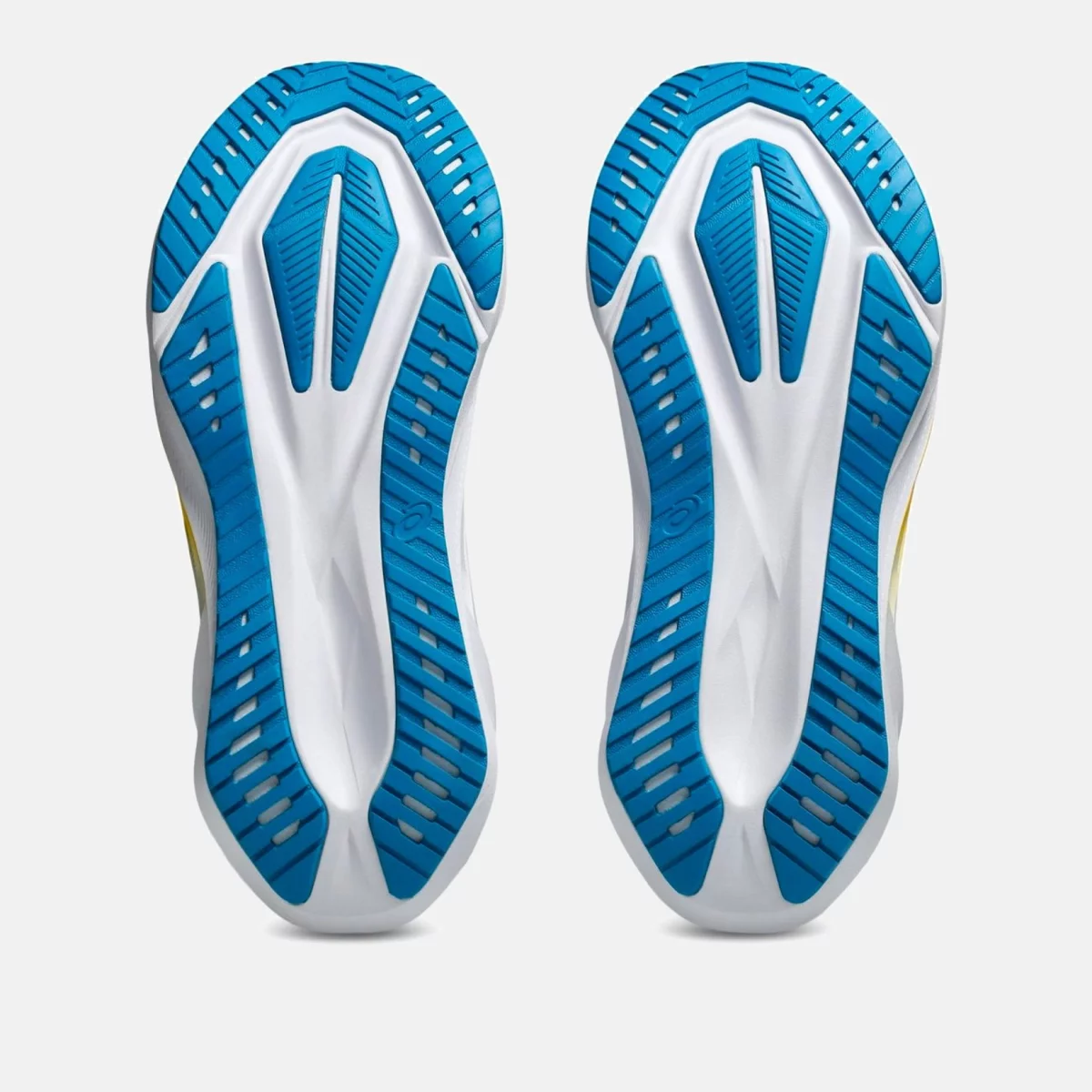 Asics Novablast 5 Ανδρικά Παπούτσια για Τρέξιμο